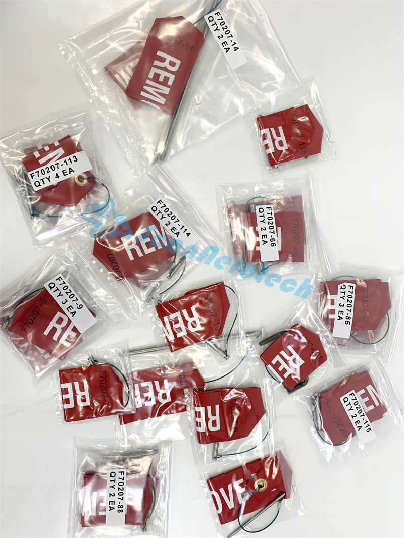 SPL-1585 B737 Riggins Pins        