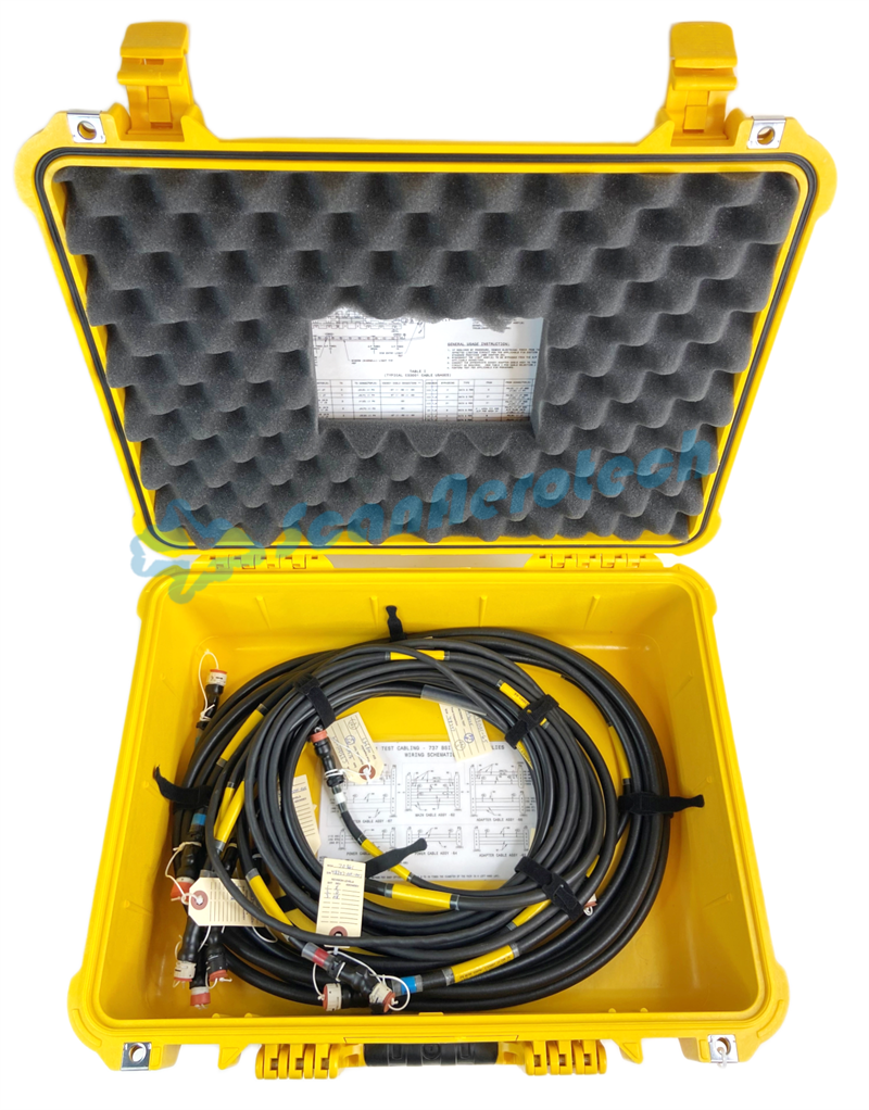 SPL-13463 TEST CABLING - B737 SKY INTERIOR LIGHT ASSEMBLIES